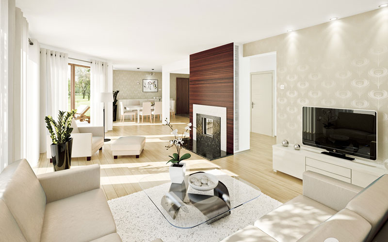 Flat Interior Work